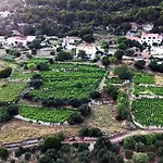 Dani Apartman Orebić