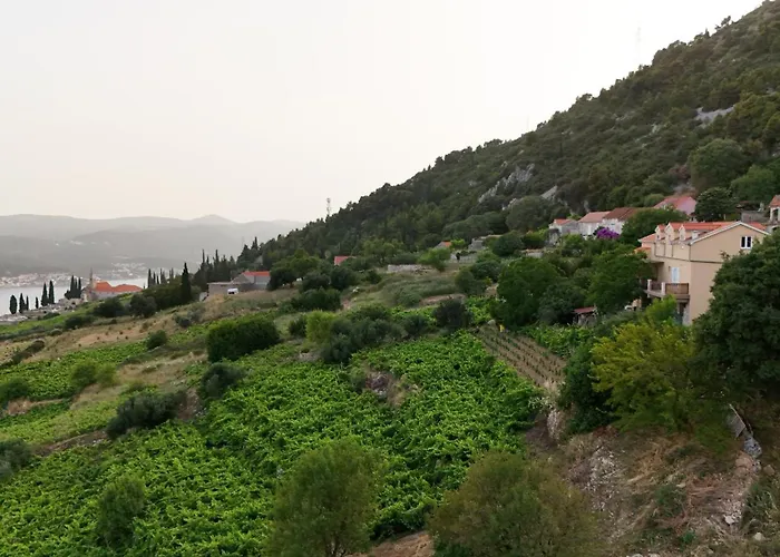 Dani Апартаменты *