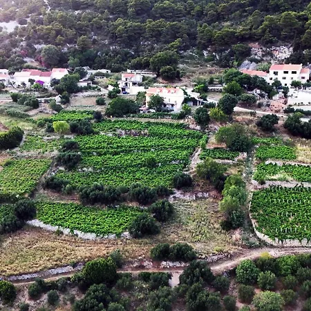 Dani דירה אורביץ