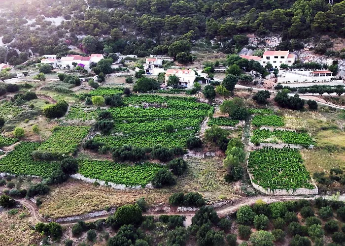 Dani 아파트 오레비츠